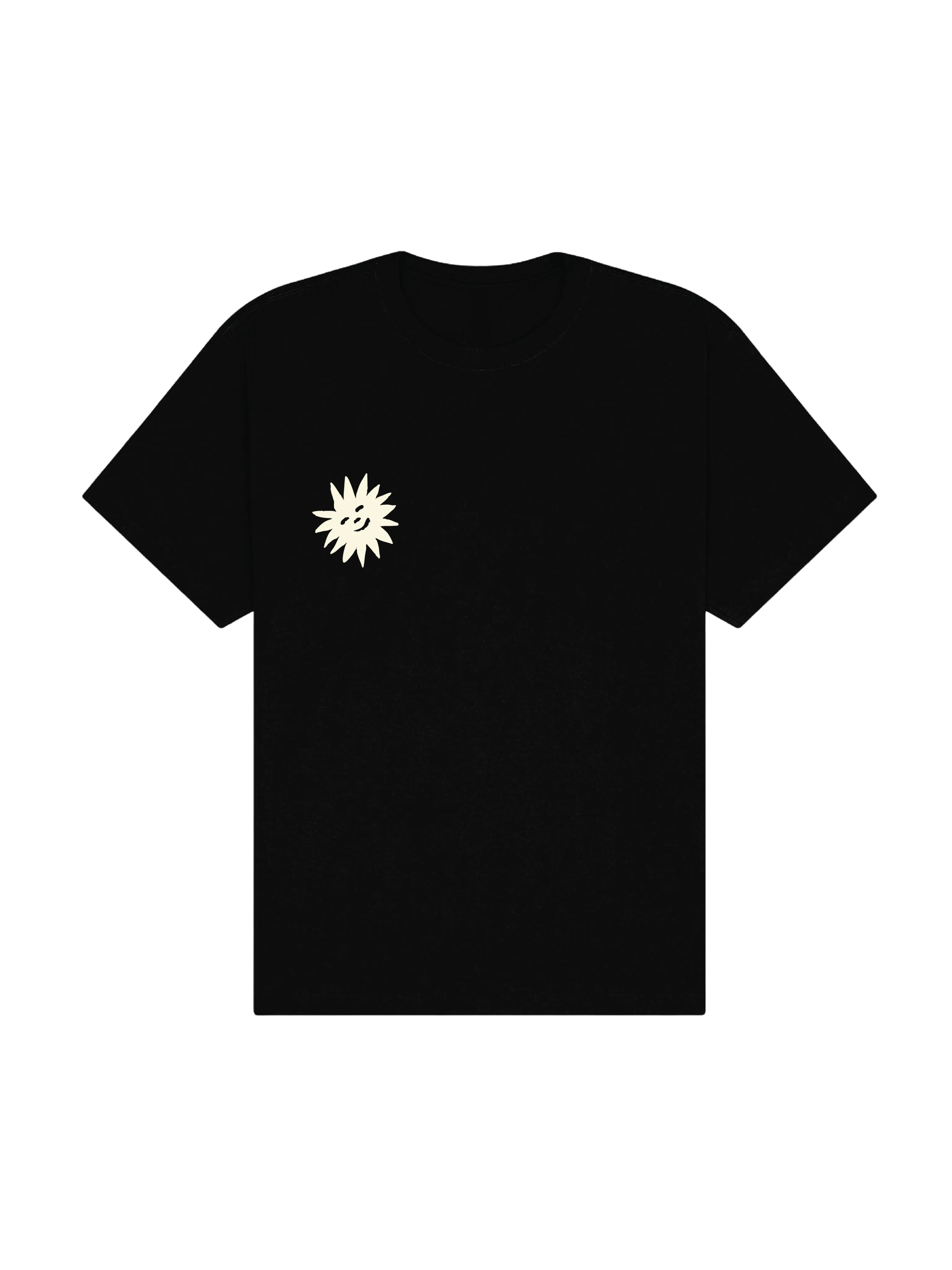 AFTER THE MUSIC STOPS